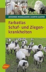 Schaf ziegenkrankheiten gebraucht kaufen  Wird an jeden Ort in Deutschland
