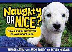 Naughty nice puppy for sale  Delivered anywhere in UK