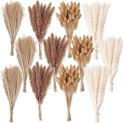 300 pcs dried for sale  Delivered anywhere in USA 