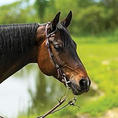 Schneiders double harness for sale  Delivered anywhere in USA 