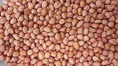 Peanut plant seeds for sale  Delivered anywhere in USA 
