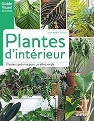 Plantes intérieur plantes d'occasion  Livré partout en France