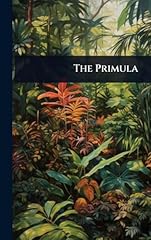 The primula gebraucht kaufen  Wird an jeden Ort in Deutschland
