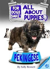 Pekingese puppies for sale  Delivered anywhere in UK