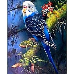 Tucocoo parrot closeup for sale  Delivered anywhere in USA 