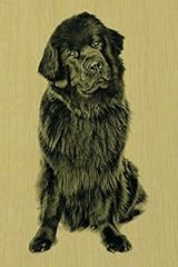 Newfoundland artified pets for sale  Delivered anywhere in USA 