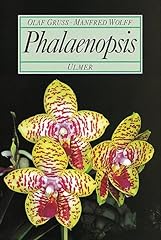 Phalaenopsis d'occasion  Livré partout en France