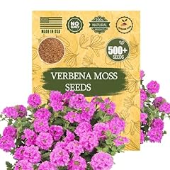 Verbena moss seeds for sale  Delivered anywhere in USA 