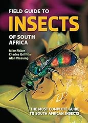 Field guide insects for sale  Delivered anywhere in USA 