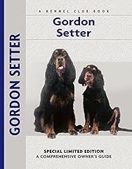 setter gordon d'occasion setter gordon d'occasion Livré partout en France
