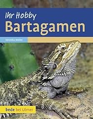 Bartagamen gebraucht kaufen  Wird an jeden Ort in Deutschland