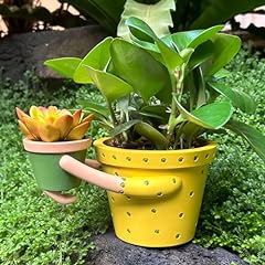 Indoor plant pot for sale  Delivered anywhere in USA 