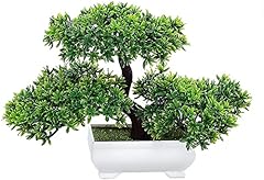 Pethot bonsai tree for sale  Delivered anywhere in Ireland