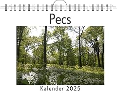 Pecs d'occasion  Livré partout en France