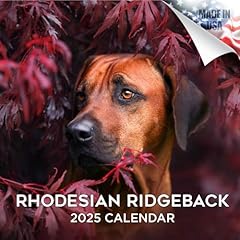 2024 2025 rhodesian for sale  Delivered anywhere in USA 