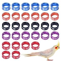 Bohany closed bird for sale  Delivered anywhere in UK