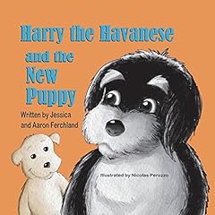 Harry havanese new for sale  Delivered anywhere in USA 