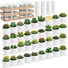 Shihanee pcs decorative for sale  Delivered anywhere in USA 