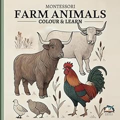 Montessori farm colour d'occasion  Livré partout en France