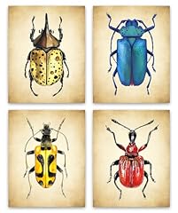 Vintage insect wall for sale  Delivered anywhere in USA 