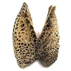 Hen pheasant wings for sale  Delivered anywhere in UK