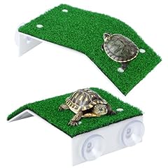 Czwestc pack turtle for sale  Delivered anywhere in USA 