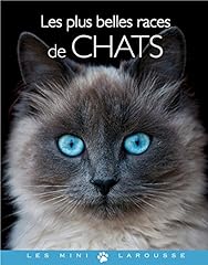 Belles races chats d'occasion  Livré partout en Belgiqu
