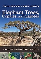 Elephant trees copales for sale  Delivered anywhere in USA 