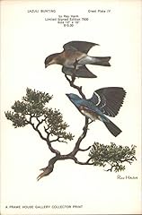 Lazuli bunting ray for sale  Delivered anywhere in USA 