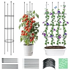 Thxtoms garten rankhilfe gebraucht kaufen  Wird an jeden Ort in Deutschland