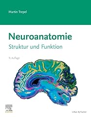 Neuroanatomie struktur funktio gebraucht kaufen  Wird an jeden Ort in Deutschland
