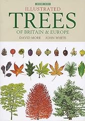 Illustrated trees britain for sale  Delivered anywhere in UK