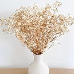 Dried flowers babys for sale  Delivered anywhere in USA 