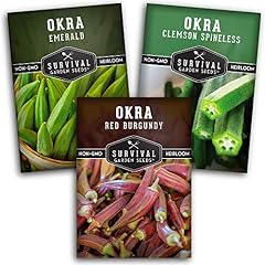 Okra seed collection for sale  Delivered anywhere in USA 