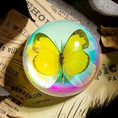 Real butterfly specimen for sale  Delivered anywhere in USA 