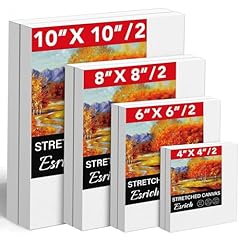 Stretched canvases painting for sale  Delivered anywhere in USA 