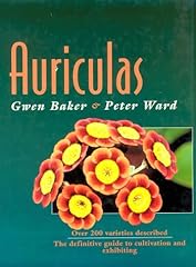 Auriculas for sale  Delivered anywhere in UK