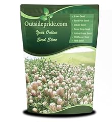 Outsidepride annual arrowleaf for sale  Delivered anywhere in USA 