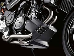 Bmw motorcycle spoiler usato  Spedito ovunque in Italia 