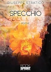 Specchio usato  Spedito ovunque in Italia 
