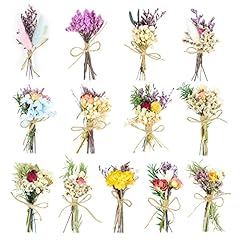 Baseca dried flowers for sale  Delivered anywhere in USA 