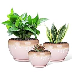 Ceramic succulent planter for sale  Delivered anywhere in Canada