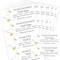Unwashed chicken quail for sale  Delivered anywhere in USA 