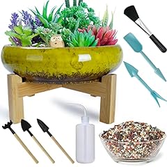 Artketty ceramic succulent for sale  Delivered anywhere in USA 
