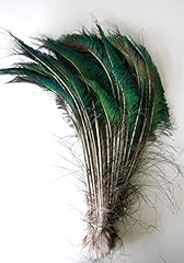 Pcs natural peacock for sale  Delivered anywhere in USA 