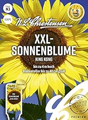 Xxl sonnenblume king gebraucht kaufen  Wird an jeden Ort in Deutschland