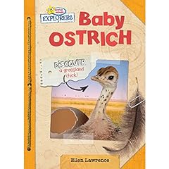 Baby ostrich for sale  Delivered anywhere in USA 