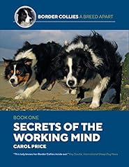 Secrets working mind for sale  Delivered anywhere in UK