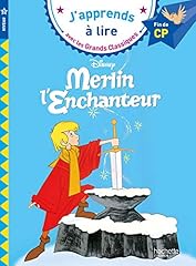 Merlin enchanteur niveau d'occasion  Livré partout en Belgiqu