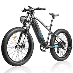 FREESKY Electric Bike Adults 750W BAFANG Motor 48V for sale  Delivered anywhere in USA 